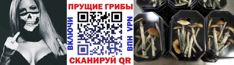 Псилоцибиновые грибы MAGIC MUSHROOMS Белинский
